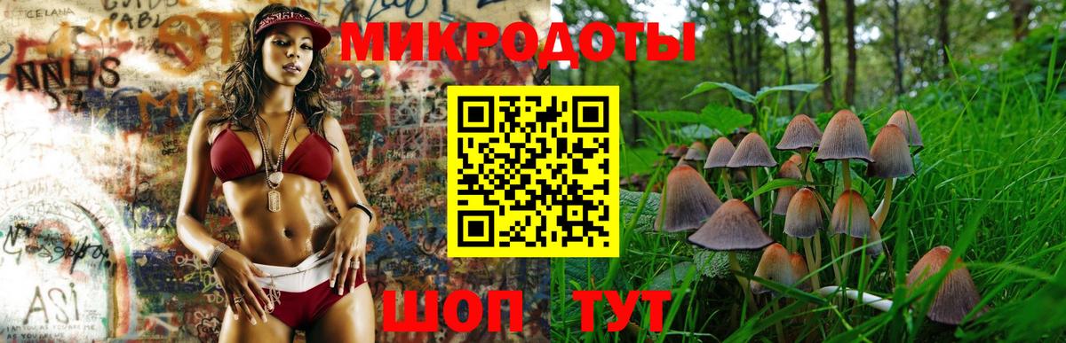 Псилоцибиновые грибы мухоморы  где можно купить наркотик  Рубцовск  Вход с VPN 